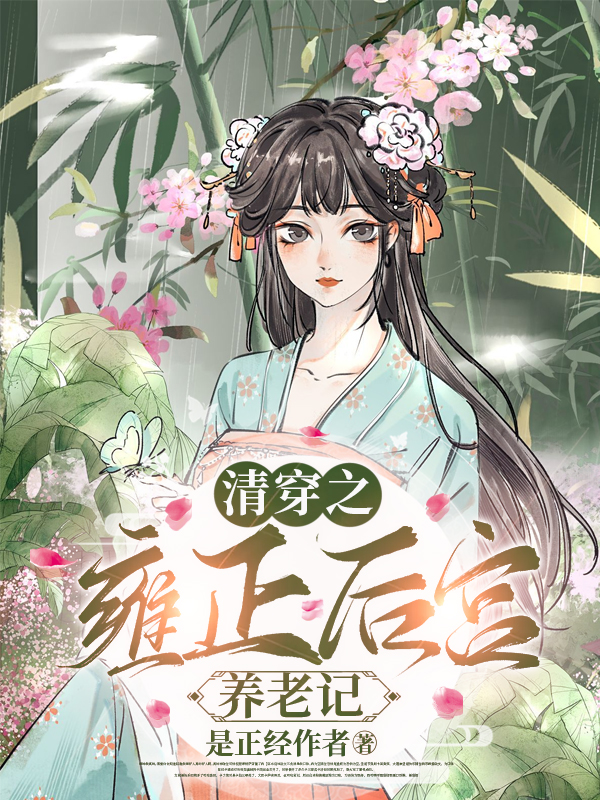 清穿雍正之子