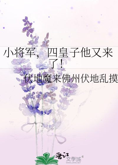 小将军，四皇子他又来了！