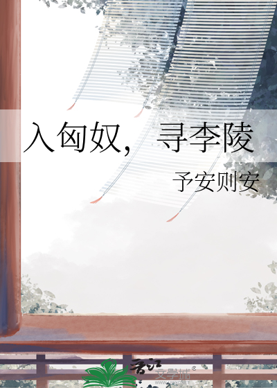 入匈奴，寻李陵