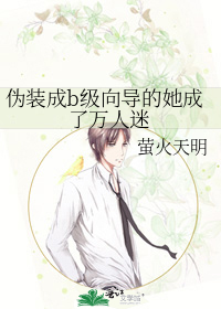 伪装成b级向导的她成了万人迷