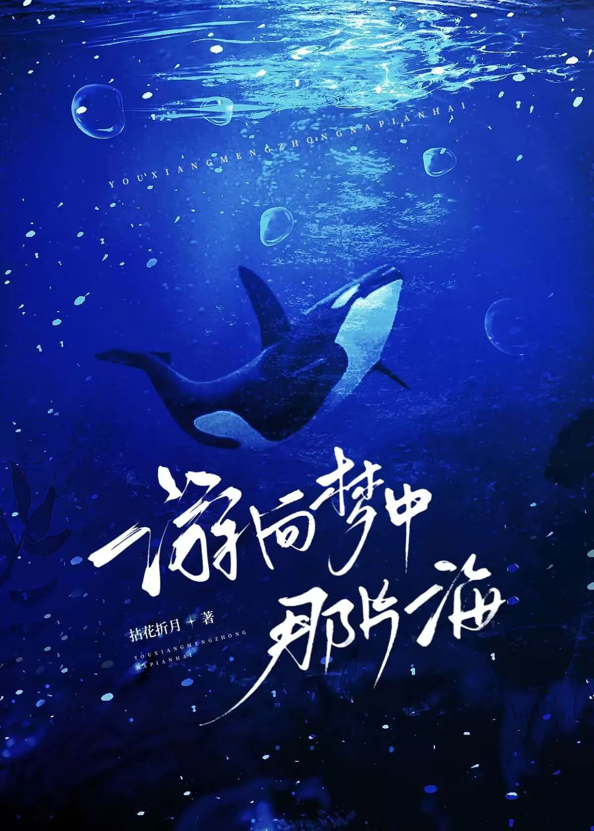 游向梦中那片海