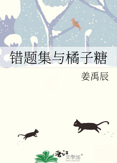 错题集与橘子糖