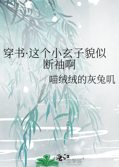 穿书·这个小玄子貌似断袖啊