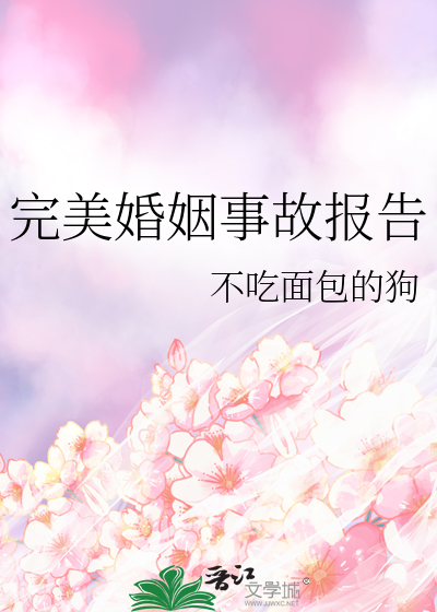 完美婚姻事故报告