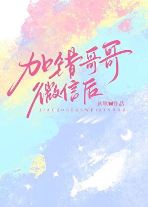 加错哥哥微信后