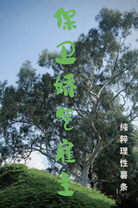 保卫娇气雇主[男A女B]