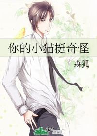 你的小猫挺奇怪