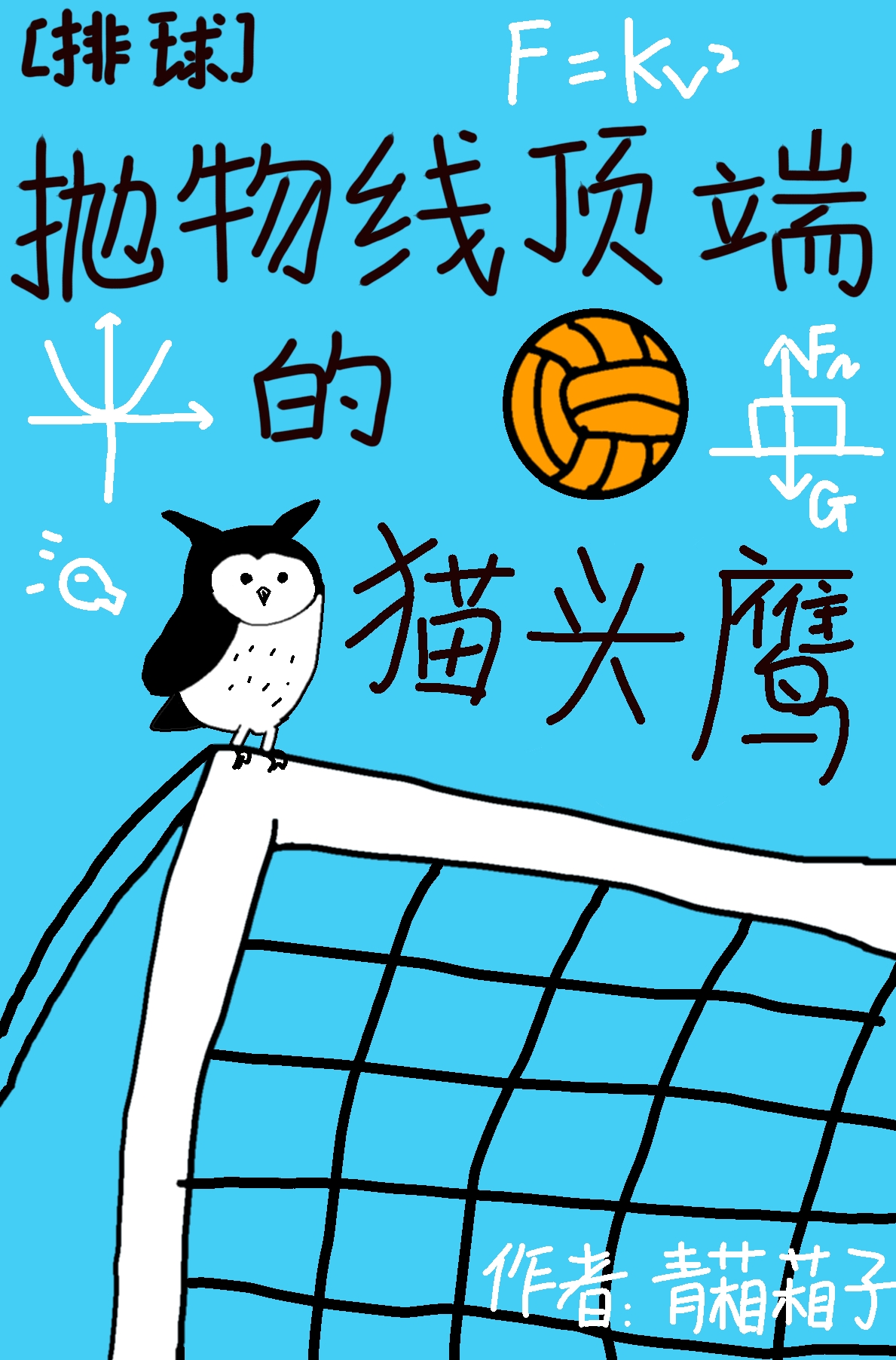 抛物线顶端的猫头鹰