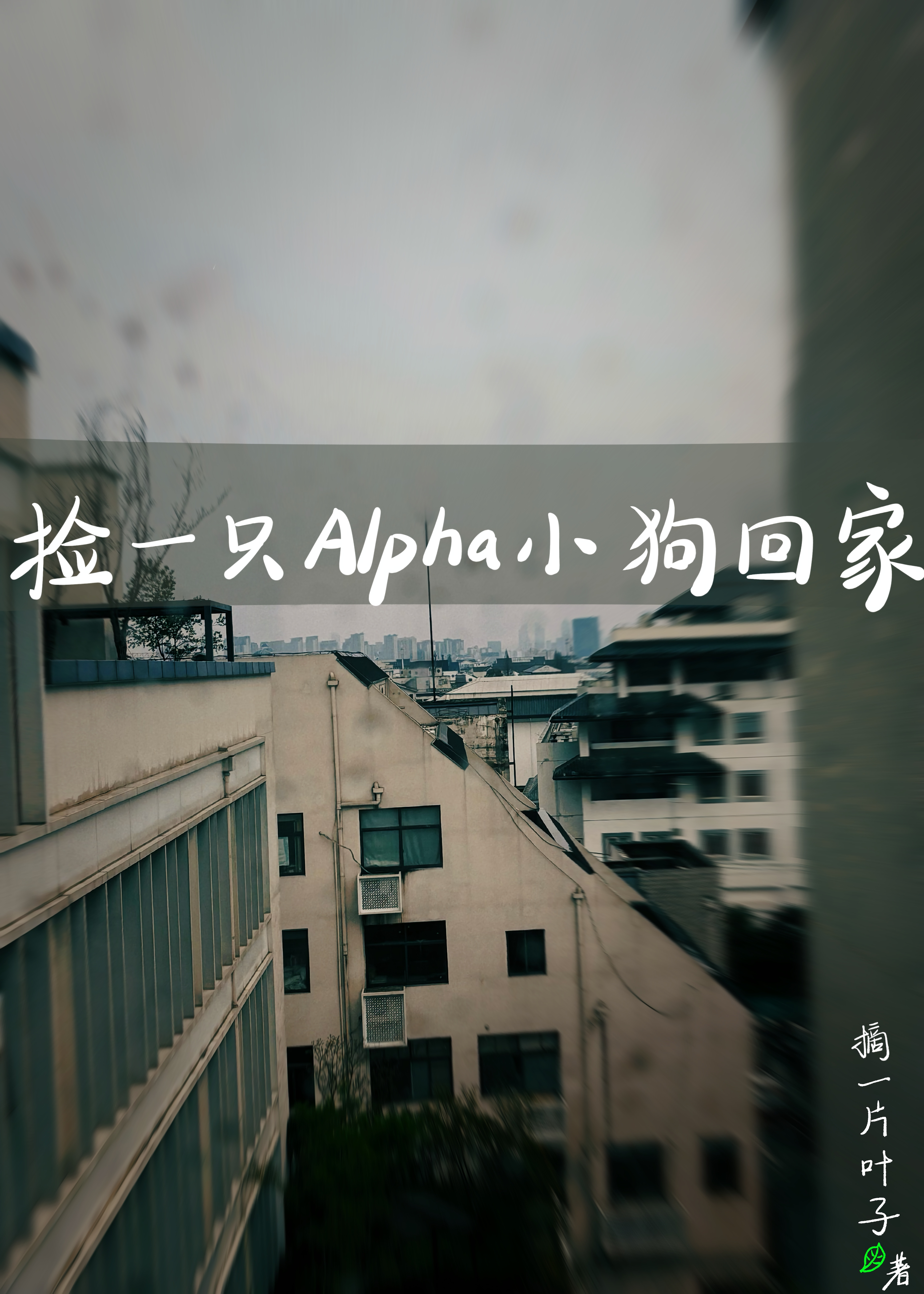 捡一只alpha小狗回家