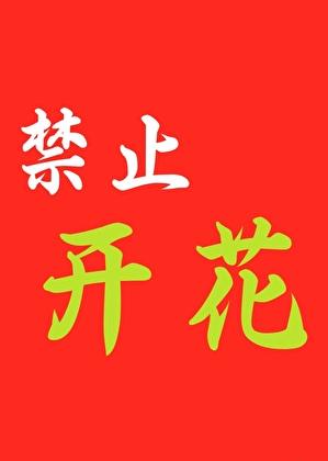 万人迷向导她心太冷