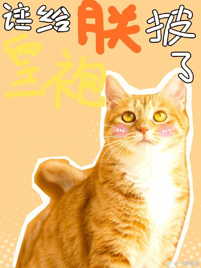 谁给朕披了黄袍