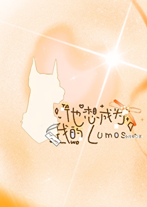 他想成为我的lumos