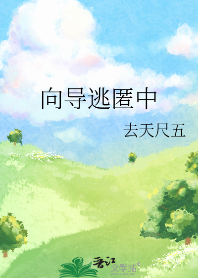 向导txt