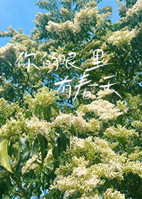 你的眼里有春天