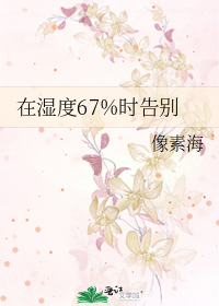在湿度67%时告别