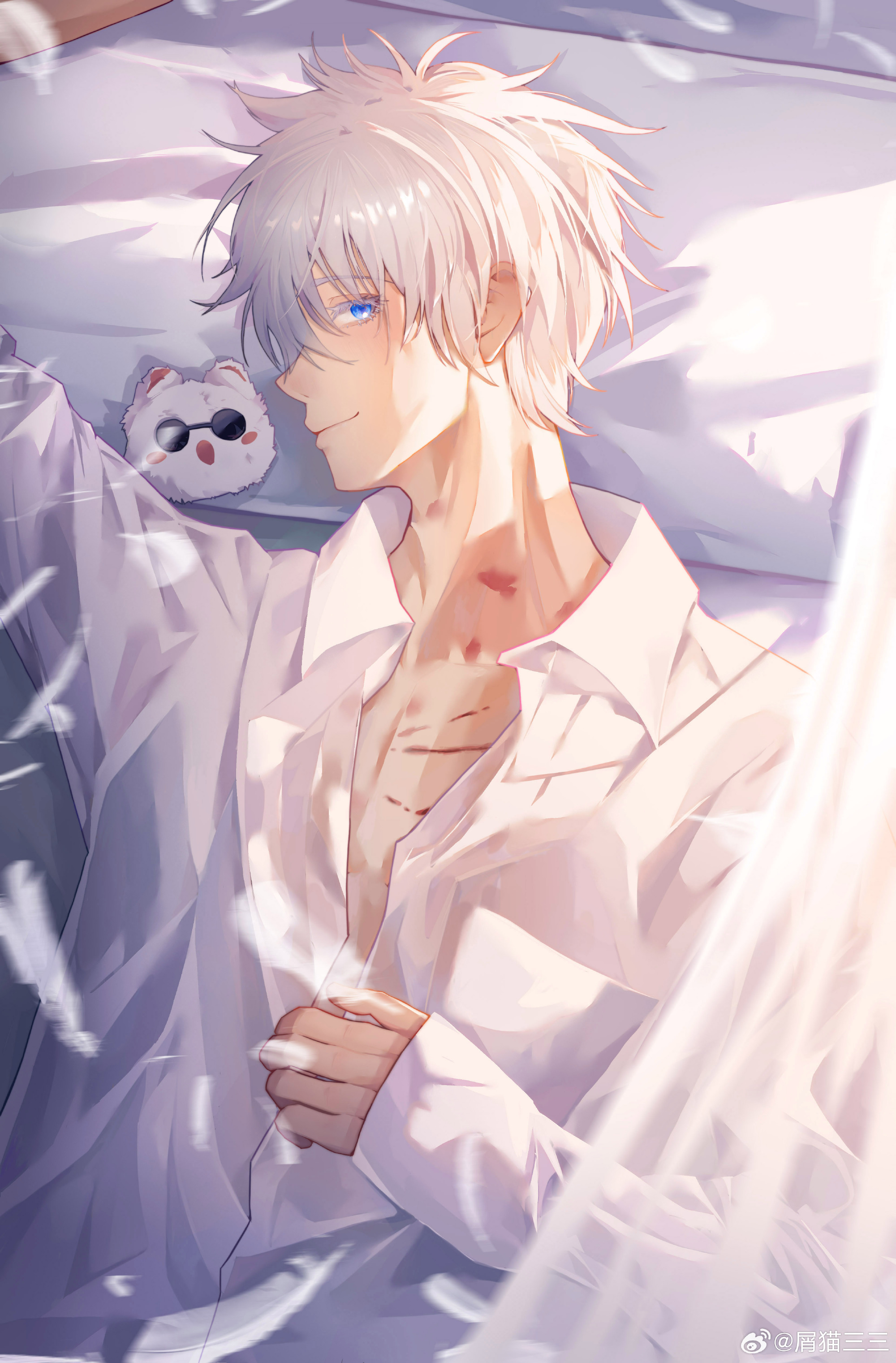 如何饲养一只五条猫猫