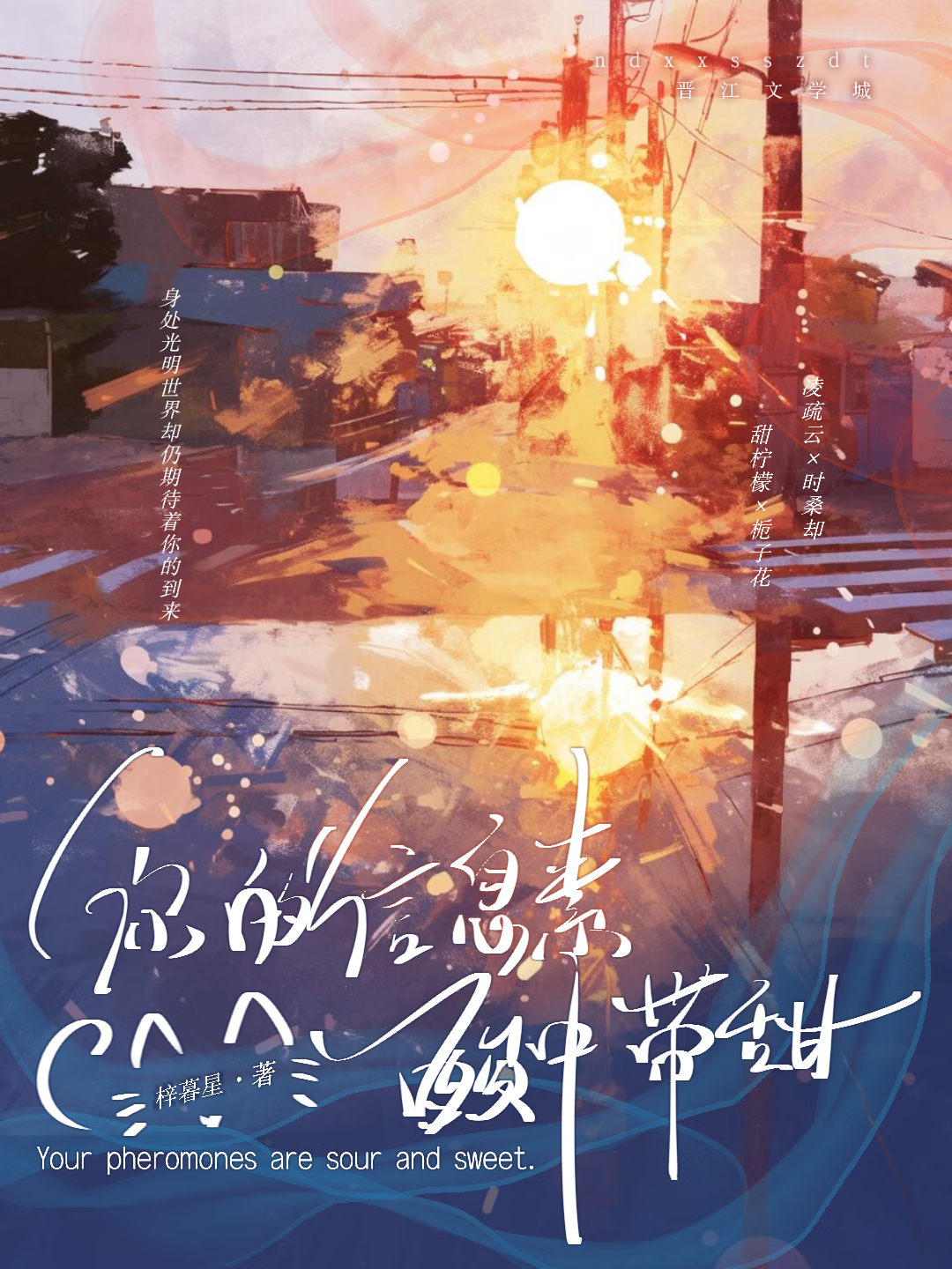 你的信息素酸中带甜