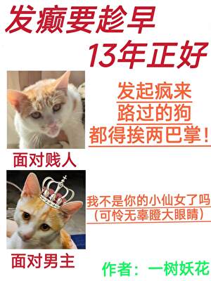 发癫要趁早，13年正好