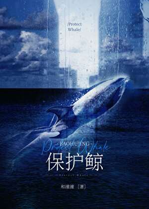 hp Protect Whale