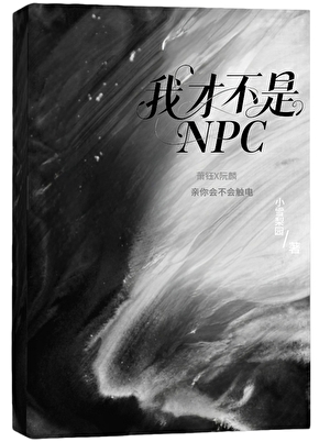 我才不是NPC