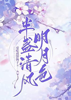 半盏清风明月色