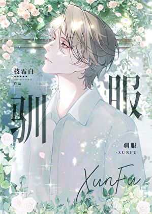 劣等beta驯服指南