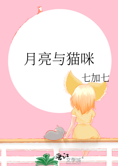 月亮与猫咪