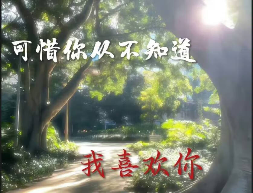 可惜你从不知道我喜欢你。