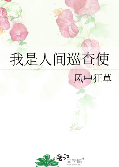 我是人间巡查使