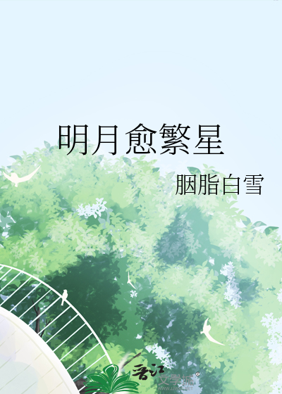 明月愈繁星