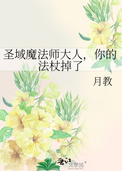 圣域魔法师大人，你的法杖掉了