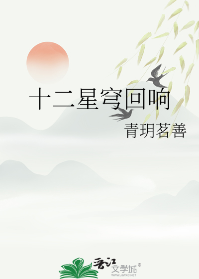 十二星穹回响