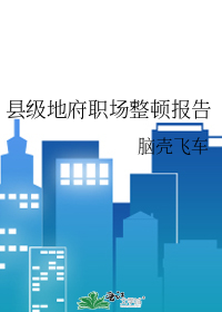 县级地府职场整顿报告