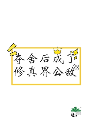 夺舍后成了修真界公敌