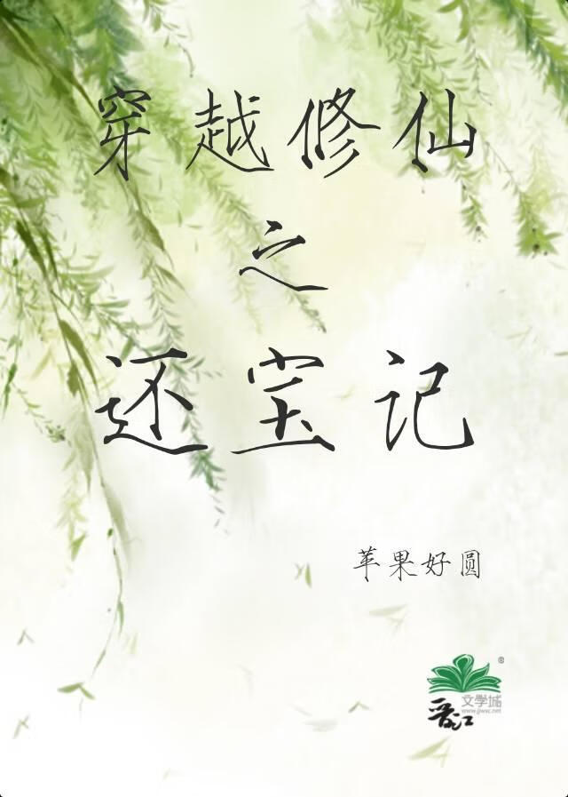 穿越修仙之还宝记