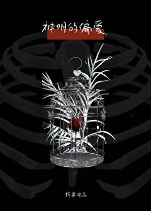 神明的偏爱［西幻］