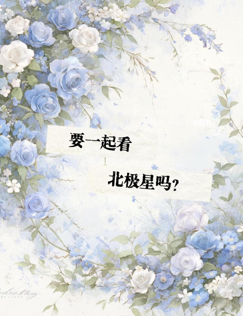 要一起看北极星吗？