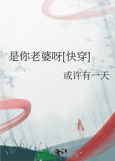 你是我老婆mv