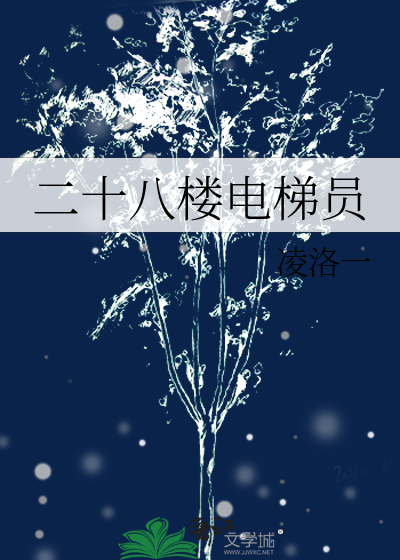 大厦电梯28