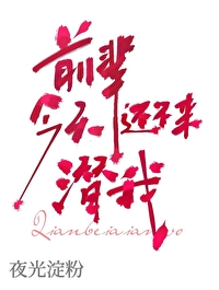 前辈你不脸小说免费阅读