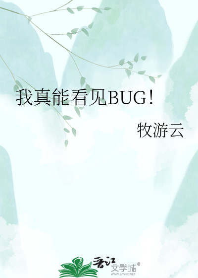 我真能看见BUG！