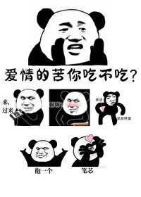 都怪我的马甲太有魅力了免费阅读小说