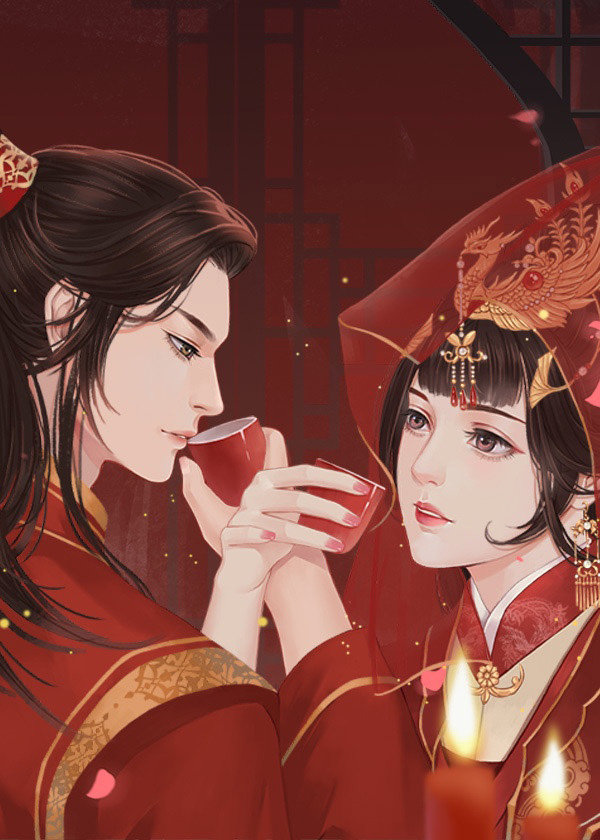 抢夫君的小说