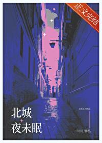 北城夜未眠小说讲的是什么