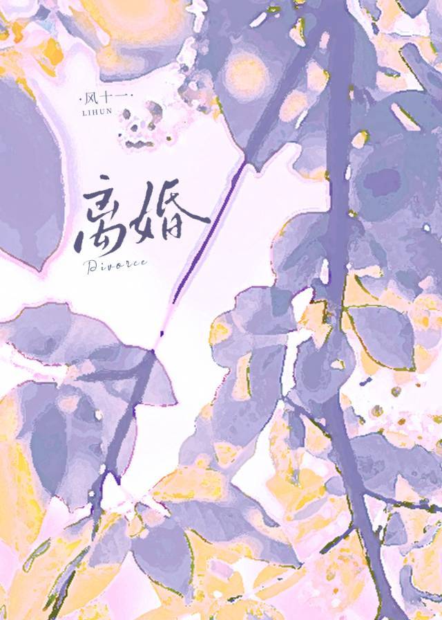 离婚流程如何办理手续2024年