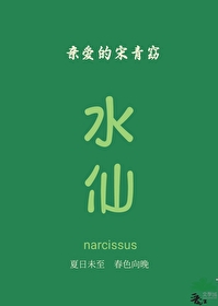 温带雨林气候分布在哪些地区
