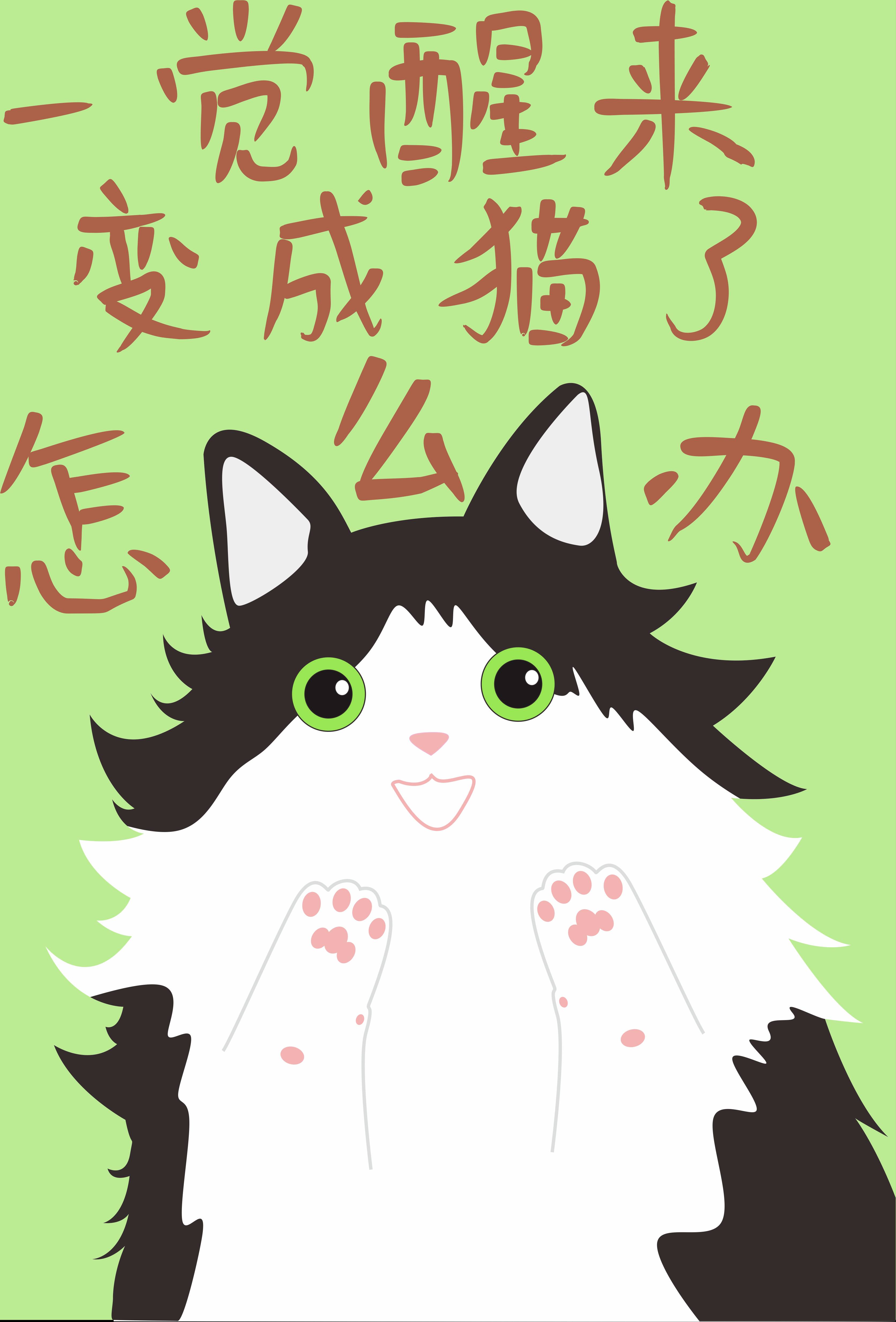 一觉醒来变成一只猫