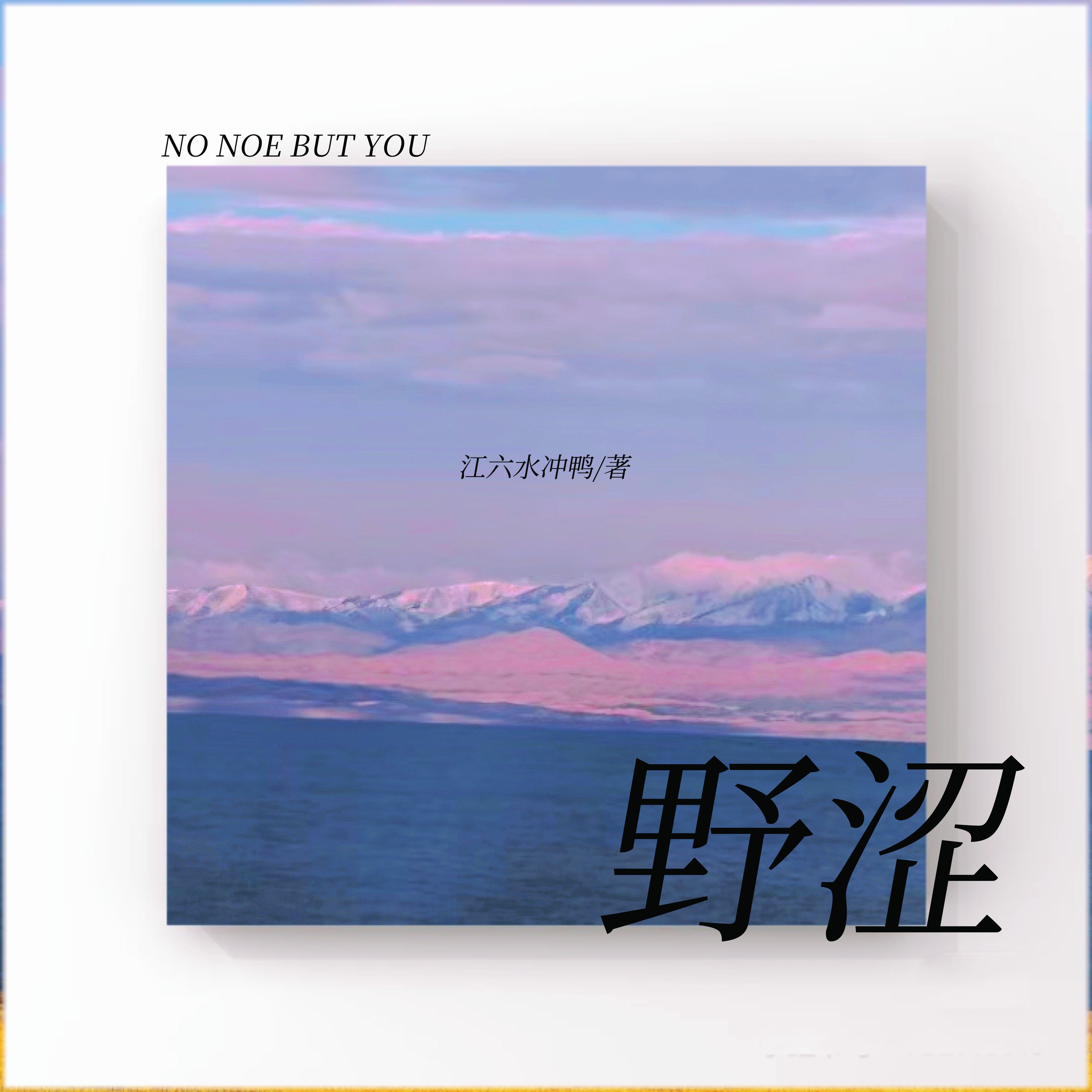 野* 小说