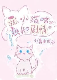 我的小猫咪呀