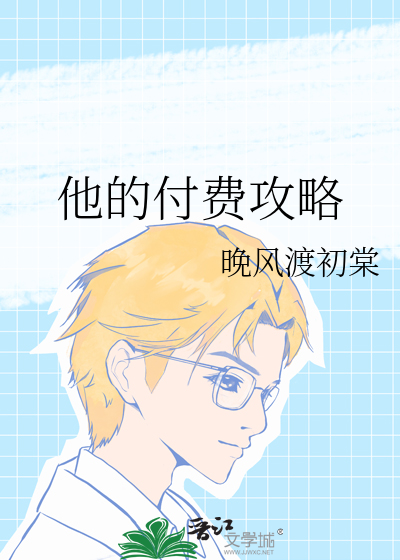 他的付费攻略